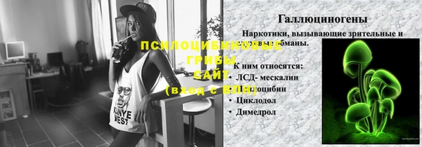 apvp Абаза