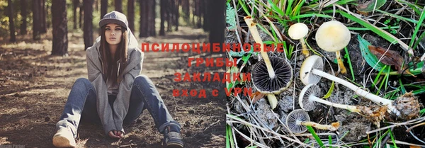 дурь Алзамай