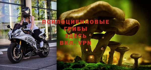 mix Аркадак