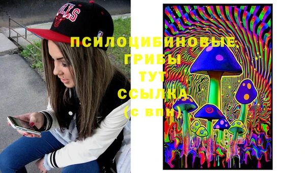 дурь Алзамай
