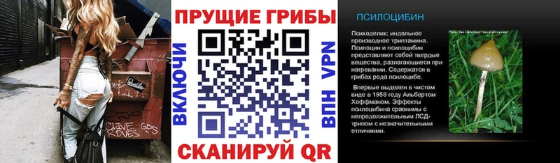 дарнет шоп  Псков  Галлюциногенные грибы MAGIC MUSHROOMS 